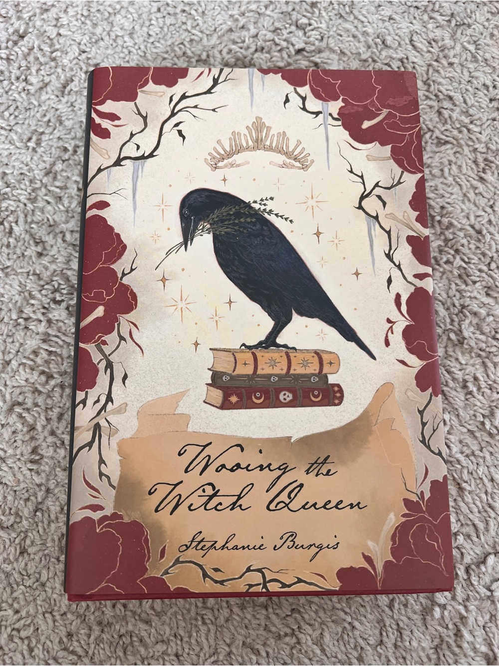 Wooing the witch queen owl crate special edition book by Stephanie Burgis